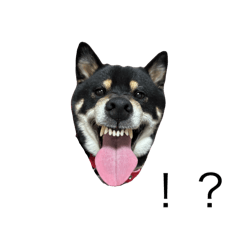 momoko_20250922174545