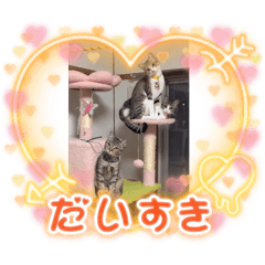 6NYANZ_20250922163933