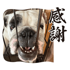 Hana_20250922195527