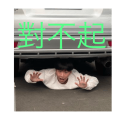 快樂生活的菜小安⛽️