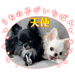 sonson_20250922203342