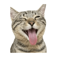 呂將軍的慵懶生活-1