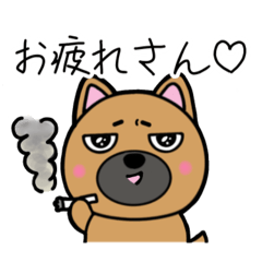 しばいぬタロー。