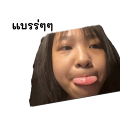 Pig dek