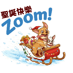 乖巧黃狗跟吉娃娃愛賴一起