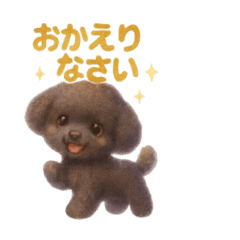 Toy Poodles Daily Talk  39