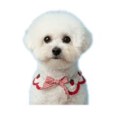 LINE_20250922183223
