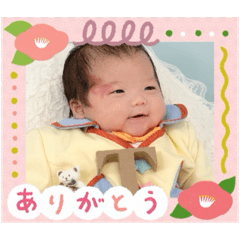 Tomoki's  Miyamairi Photo