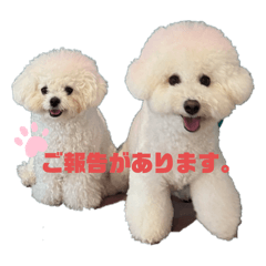 chika_20250922191231