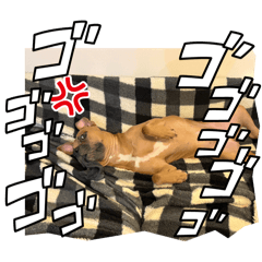 Yumi_20250922191148