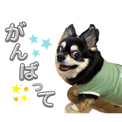 ayu_20250922230948