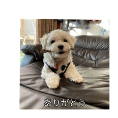 eririn_20250922231442