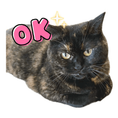 yukinko_20250922231544