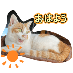 nanami_20250923012100