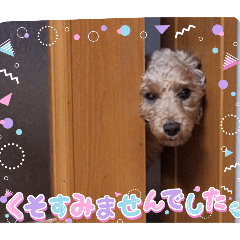 yumi_20250923084604