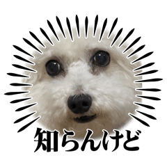0507_20250921211126