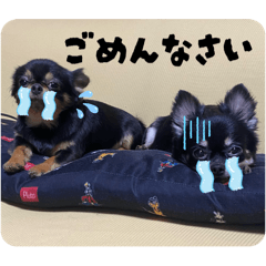 AKANE_20250922234914