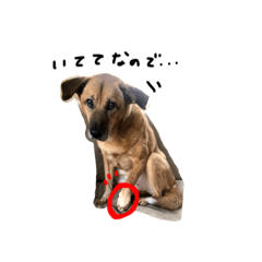non_20250922235631
