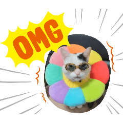 namie_20250923040040