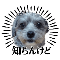 tamagon_20250923115531