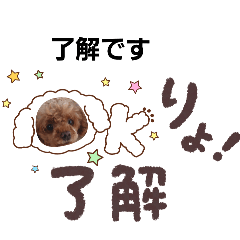 YUINA_20250923120235