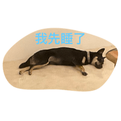 不知道要取什麼.__.