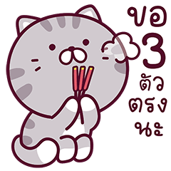 แมวชิมเมอร์