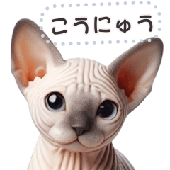 無毛の猫は毛ある ☆ メッセージステッカー