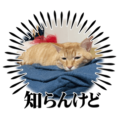 6NYANZ_20250923041931