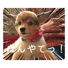 hana_20250923103721