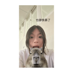 番番公主