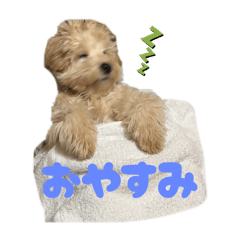 kinaco_20250923111654