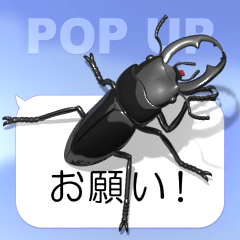 Kokuwagata on the SP 2 (pop-up)