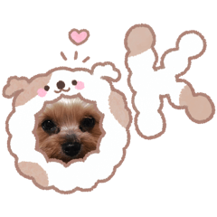 ayumi_20250923122633