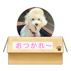yumi_20250922224056