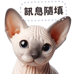 無毛貓有毛 ☆ 訊息貼圖隨你填