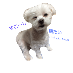 p-choro