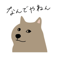 eboshi_20250922080445