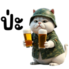 แมวทหาร สุดหล่อ