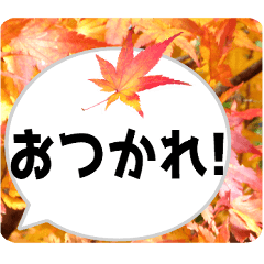 *Flower* Autumn leaves & Speech bubble