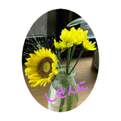 majyo_20250923204200