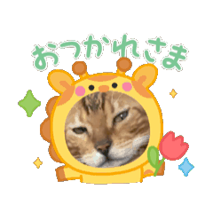 hana_20250923220828