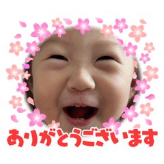 毎日ちよちよ