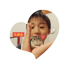 hachi_20250923212045