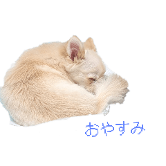 くるりのスタンプ①