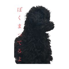 uka_20250923163337