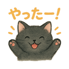 Everyone's Gentle Home Cat 2