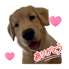 ninomae_20250923151338