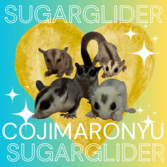 My beloved adorable sugar glider ver2.0