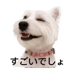 nene&p_20250923170512